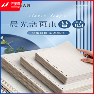 晨光A5活页芯20孔经典办公80页APY9B045