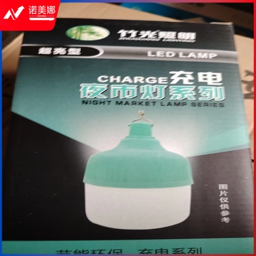 灯泡 充电球泡 USB充电露营灯 超亮型JL-100w（只）