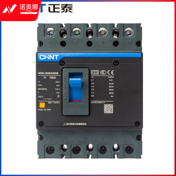 正泰（CHNT）塑料外壳断路器 NXM-250S/3300 200A