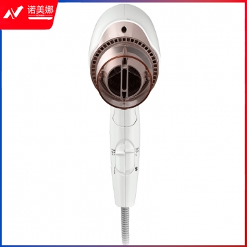 松下（Panasonic）EH-WNE6A 电吹风机 大功率快速干发 负离子多效呵护