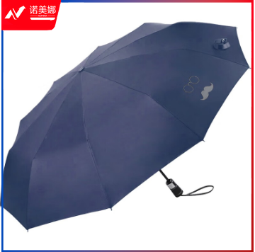 天堂伞十骨黑胶商务自动伞晴雨双人太阳伞 33592E睿智人生 藏青色