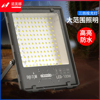 久量（DP）LED投光灯园林照明投射灯 PI65防水户外大功率探照灯工业路灯100W DP-QPTG100D