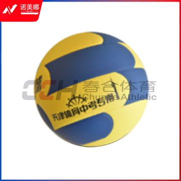 MVP 排球 中考用球 V-100