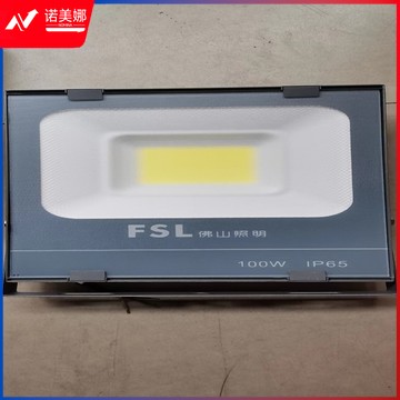 佛山(FSL)LED室外投光灯 100W 白光 6000K