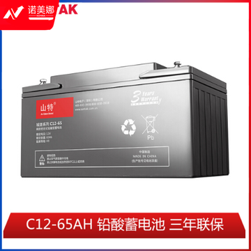 山特（SANTAK）C12-65AH 山特UPS电源电池免维护铅酸蓄电池 12V65AH