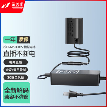 绿巨能（llano）松下DMW-BLK22假电池DC-S5模拟电池外接电源适配器GH5M2 GH6微单vlog视频直播供电电池LJN-SMJ012