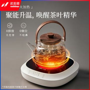 小熊（Bear）电茶炉泡茶煮茶器煮茶炉 围炉养生黑茶花茶蒸茶器不挑器具ZCQ-P12H5