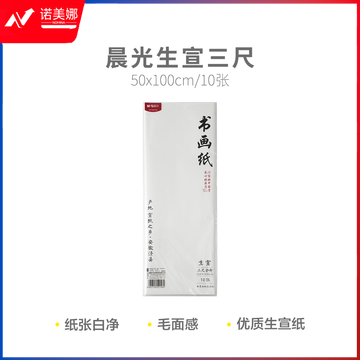 晨光APY9070A 生宣三尺10张宣纸