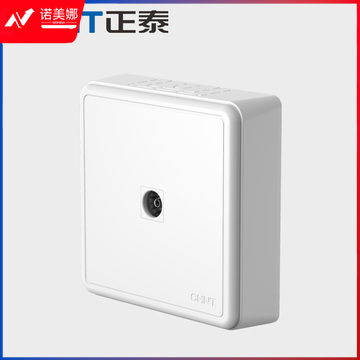 正泰(CHNT)明装开关插座墙壁面板二三插 NEW1-C20100A弱电系列