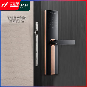 德施曼(DESSMANN)指纹锁智能门锁 智能锁电子锁家用防盗门锁密码锁 E20