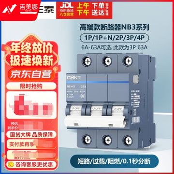 正泰（CHNT）空气开关 微型空开断路器 小型家用总闸泰极 NB3-63 3P 63A