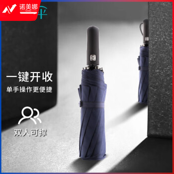 天堂 晴雨伞 10骨加固一键开收 易甩干简约全自动雨伞 藏青30729