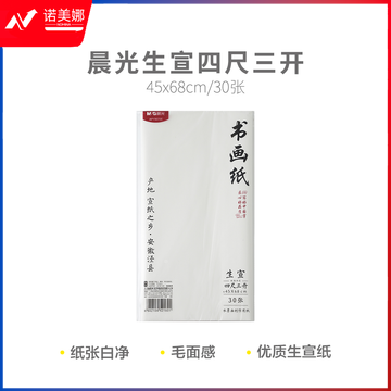晨光APY9070E 生宣四尺三开30张宣纸