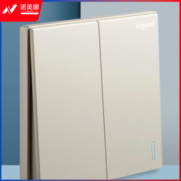 罗格朗(LEGRAND)开关插座面板 仕典米兰金无边框大面板 86型 双开单控开关K8/32/1/2CE-C2