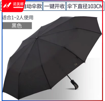 天堂伞 10骨全自动雨伞 抗风纯色款（混色）