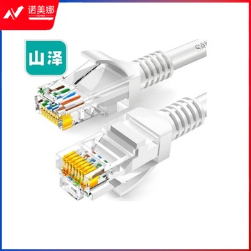 山泽(SAMZHE)ZW-02 超五类网线 CAT5e类高速百兆网线 2米 贝吉色