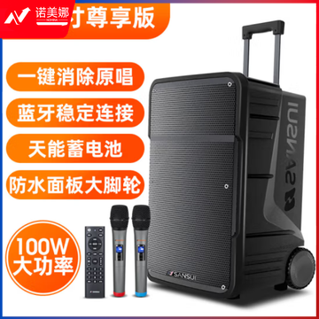 山水（SANSUI）A15 15英寸广场舞音响 便携式移动户外蓝牙拉杆音箱重低音 多媒体会议扩音器带无线麦克风