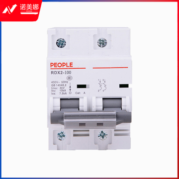 人民电器 断路器 RDX2-100（100A／2P）大功率断路器