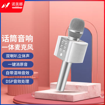 纽曼 (Newmine) MC10麦克风音响一体机自带声卡无线蓝牙话筒K歌家用KTV唱歌电容麦K歌宝 银色