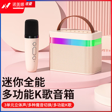 纽曼（Newmine）DP99无线蓝牙音箱家庭ktv音响套装户外大音量广场舞小型家用k歌手提便携式带炫彩灯光 单麦版