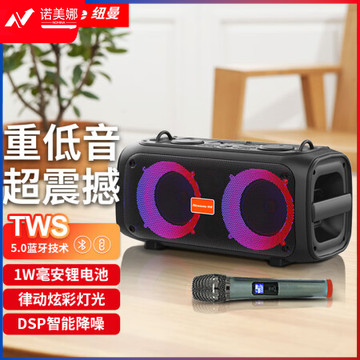 纽曼（Newmine）D28 蓝牙音箱 音响户外k歌广场舞专用便携式重低音炮家用唱歌移动家庭ktv带麦克风桌面高音质无线小音响 带单话筒+炫彩灯