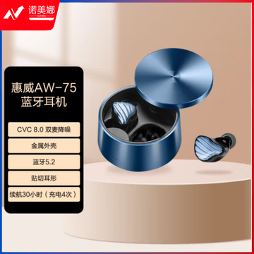 惠威（HiVi）AW-75 无线蓝牙耳机 真无线HiFi耳机蓝牙5.2长续航支持通话降噪 靛蓝