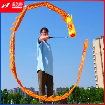 舞龙彩带健身甩甩龙身新款道具儿童广场舞带手耍龙空竹龙表演运动