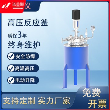 里博 不锈钢高压反应高温氢化罐实验室电加热升降反应器磁力搅拌数显 FCF-30L
