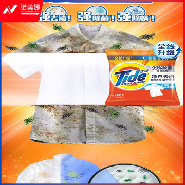 汰渍洗衣粉净白去渍小袋小包汰渍洗衣粉508g*1包