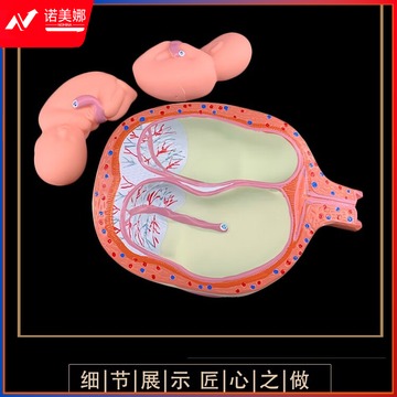 d1e7406c45734097.jpg