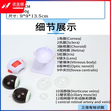 fda5be30c9ed942a.jpg