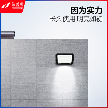 公牛（BULL）LED投光灯庭院灯工地灯园林照明露营灯 IP65防水100W-6500K白光