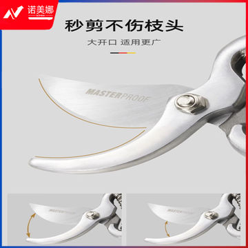 修枝剪刀果树花剪园艺树枝园林工具双档棘轮剪 【新品】1800：8寸家用园艺剪