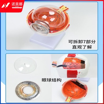 3a7c811d9ffdc65c.jpg