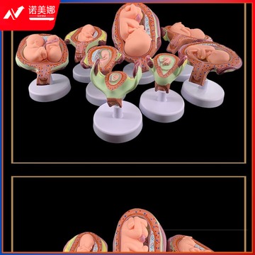 d4aaaf1cff514c2c.jpg