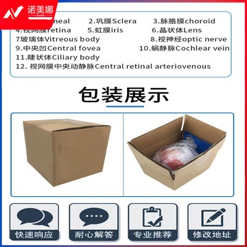 08748a2ed6d29528.jpg