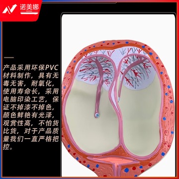 2ed46d73f19027d0.jpg