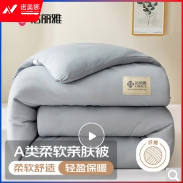 洁丽雅（Grace）被子被芯四季被芯春秋空调被5斤150*200cm经典灰