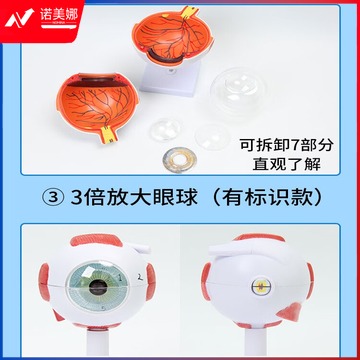 44ca607526566129.jpg