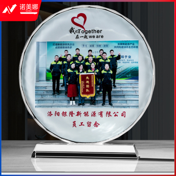 奖杯学生毕业纪念品赠礼水晶奖杯树脂彩印玻璃礼品工艺品同学聚会留念合照摆件奖杯经典太阳花22*20cm（下单前询价）