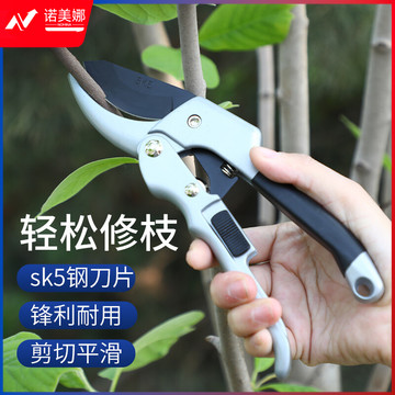 东方荣（DONGFANGRONG） 果树剪刀修枝剪枝剪 园艺剪刀树枝修剪粗枝养花园林工具花木花艺盆栽剪子水果苗木剪花