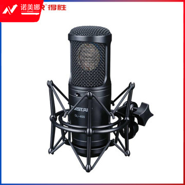 得胜(TAKSTAR)GL-400 旁述式录音电容麦克风 直播带货录音棚电台主持麦克风 专业电容话筒 黑色 DBJ202308191630027