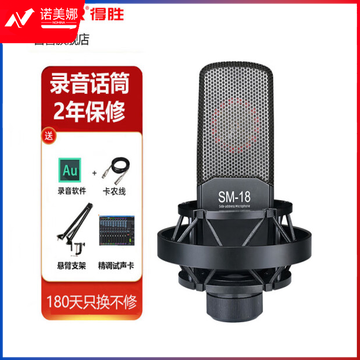 得胜(TAKSTAR)SM-18 大振膜电容麦克风 专业录音手机直播声卡设备套装 DBJ202308191629552