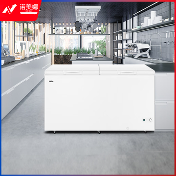 海尔（Haier）428升卧式商用家用冰柜 商用大容量冷藏柜大冷冻柜冰柜家用冰箱大冷柜BC/BD-428GHPD