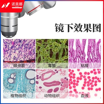 麦克奥迪专业生物光学显微镜高倍1600倍水产养殖畜牧美容看鱼病细菌便携