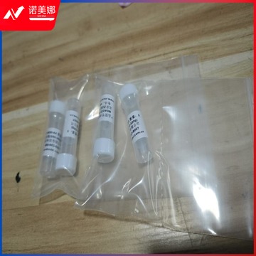 Biosharp MCAO 线栓