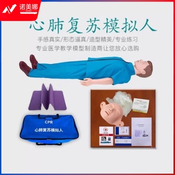 益联 半身模拟假人