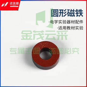 扬光（G） 小学初中物理电磁学实验器材配件 单刀单掷开关   10个起送