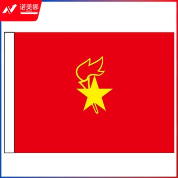 少先队大队旗 