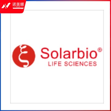 索莱宝 pSGKP-km质粒